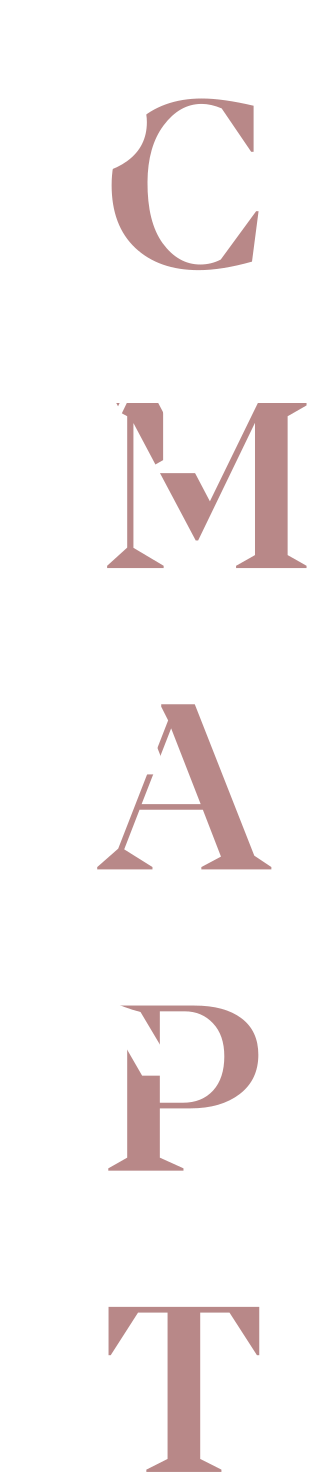 smart-icon